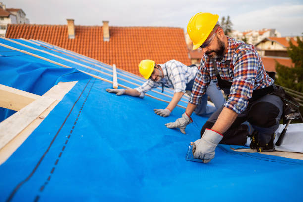 Best Roof Ventilation Installation  in Bonny Doon, CA
