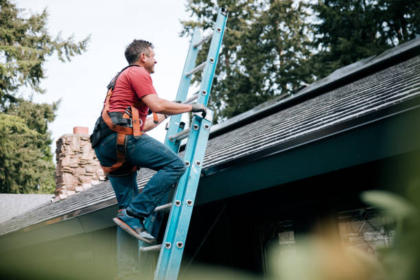 Best Chimney Flashing Repair  in Bonny Doon, CA